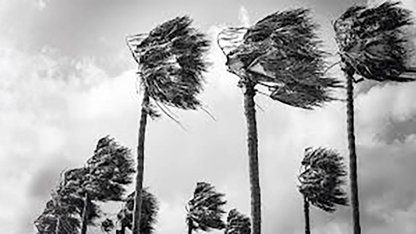 winds-recourse.jpg