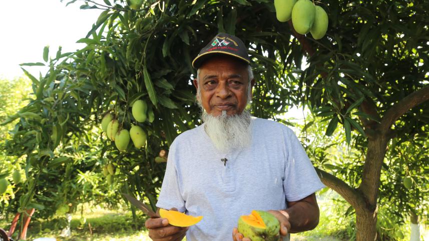 Baromashi-(year-long)-mango.jpg