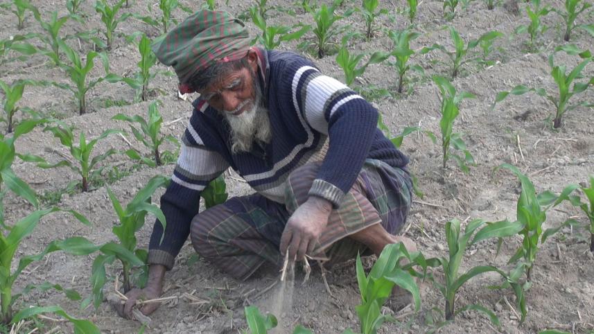 Kurigram-Lalmonirhat-cold.jpg