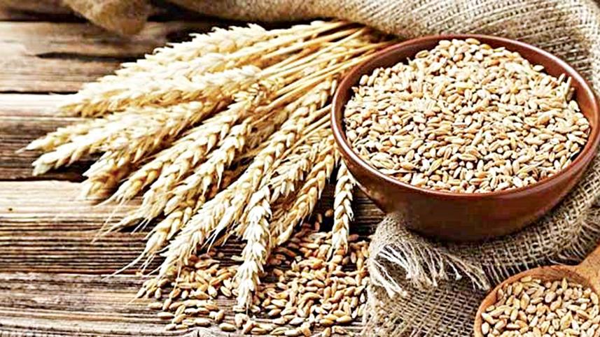 wheat.jpg