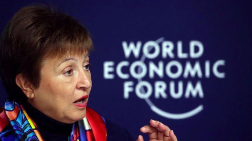 IMF-Final.jpg