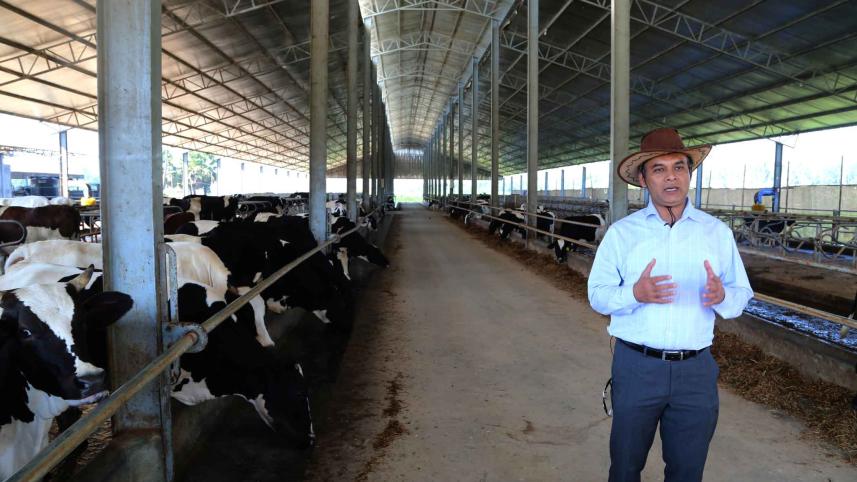 dairy.jpg