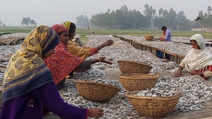 Chalan-Beel-shutki.jpg