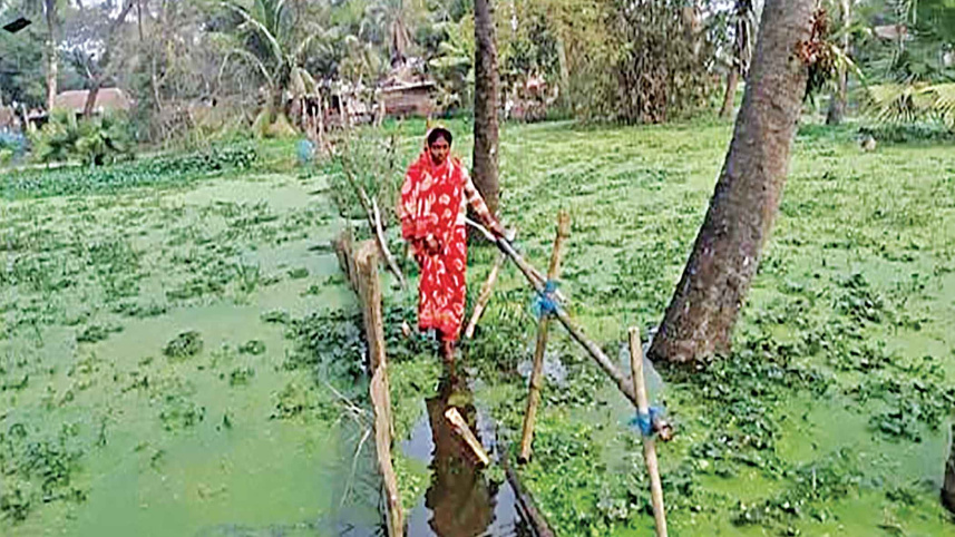 Bagdanga.jpg