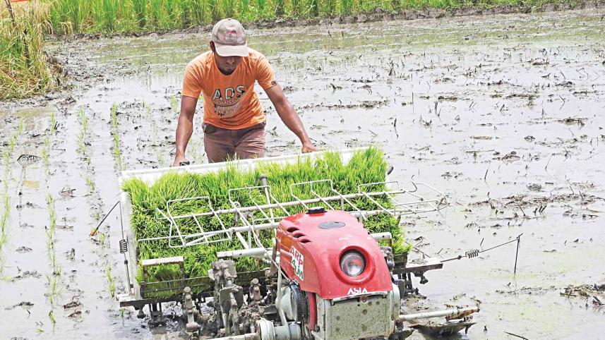 farmer.jpg
