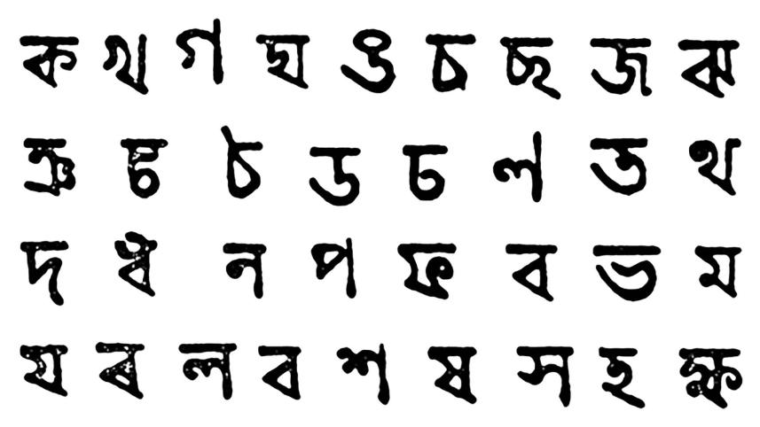 language4.jpg