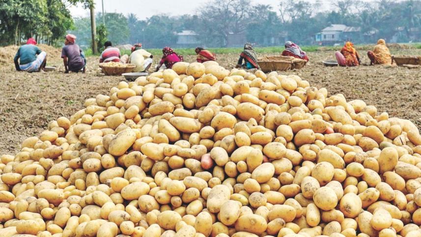 food-security-post-pandemic-bangladesh (1).jpg