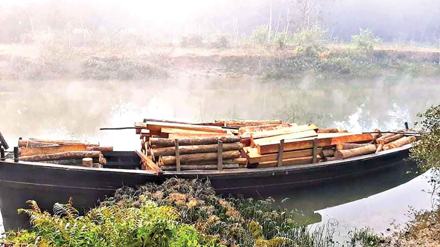 log.jpg