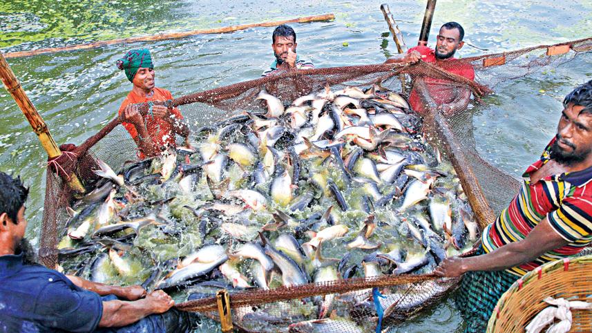 Mymensingh.jpg