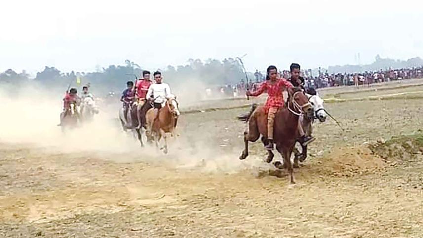 horse-rac.jpg