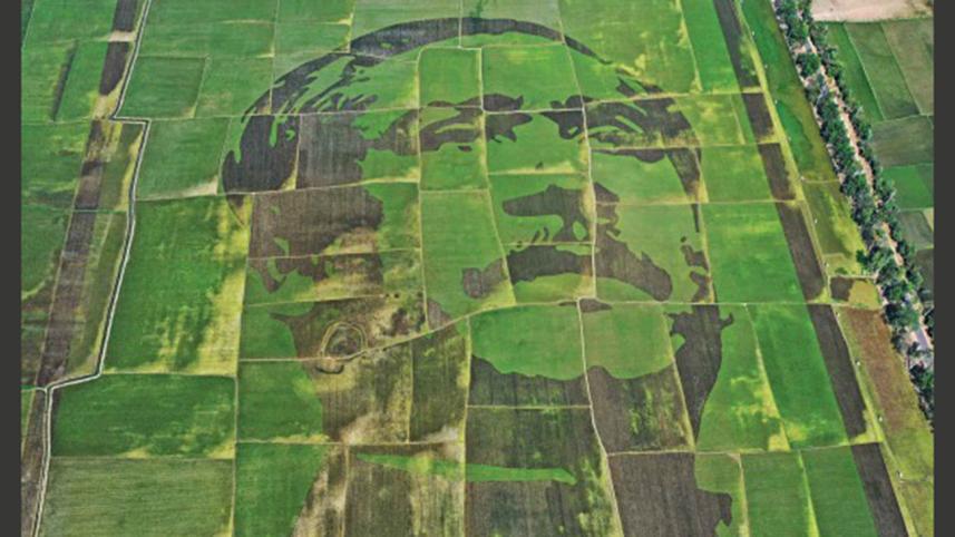 bangabandhu-sheikh-mujibur-rahman.jpg