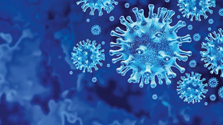 virus-corona.jpg