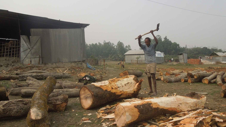 timber.jpg