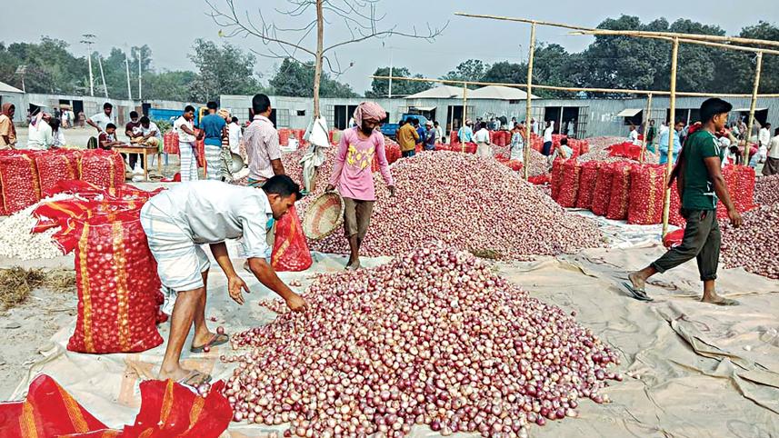 Farmers-in-Pabna-1.jpg