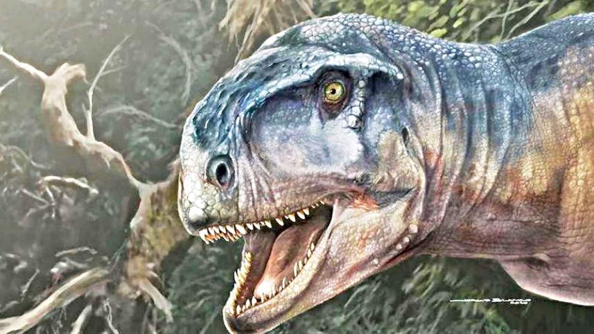 dinosor.jpg