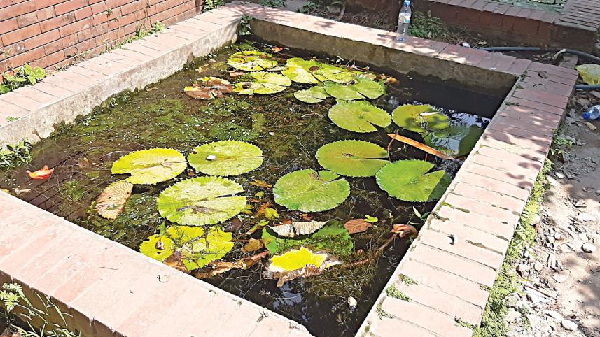 Baldha-Garden.jpg