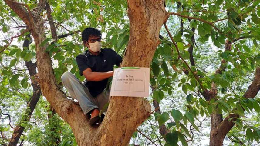 Trees-face-Suhrawardy-Udyan.jpg
