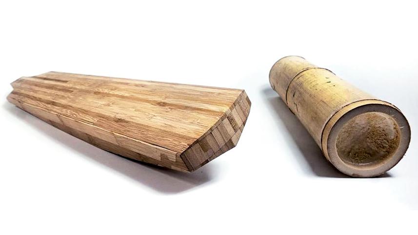 Bamboo.jpg