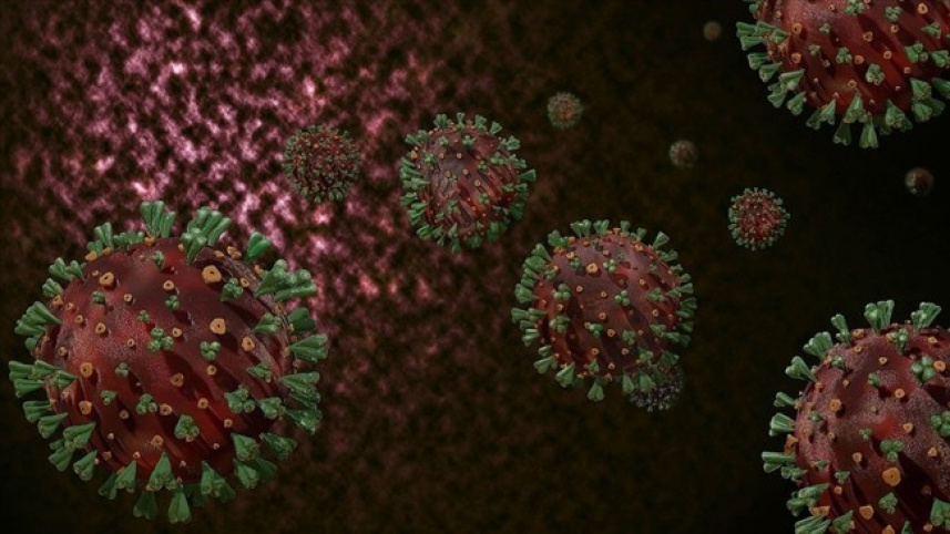 covid-19-variant.jpg