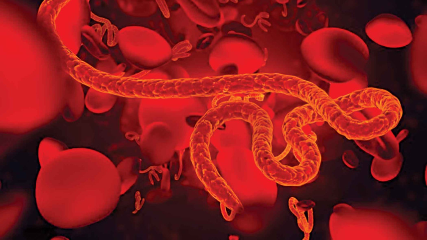 Ebola.jpg