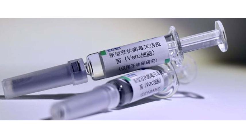 vero-cell.jpg