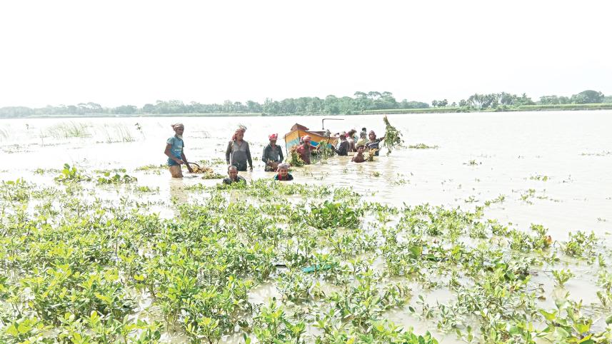 Peanut-farmers-lose-Madhumati.jpg