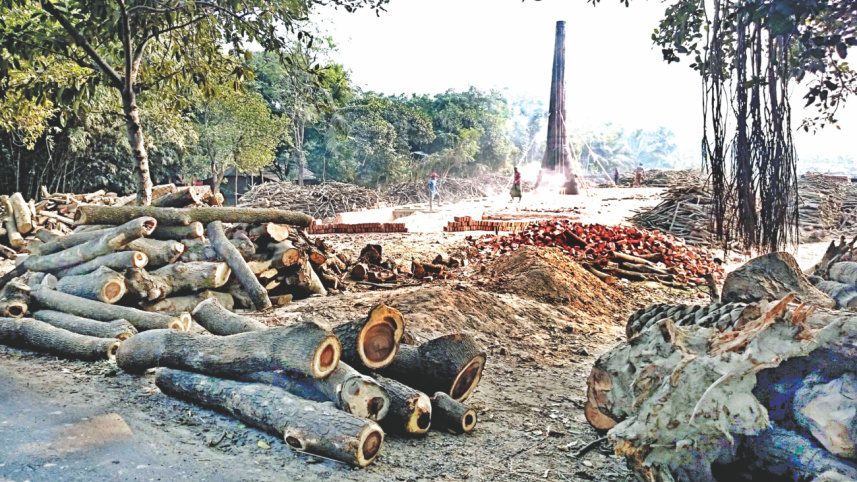 A brick kiln.jpg