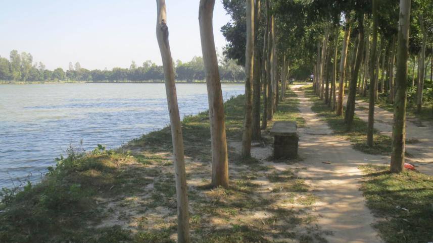 A partial.jpg