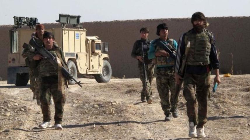 afghan-wb.jpg