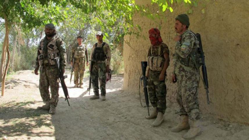 Afghan.jpg