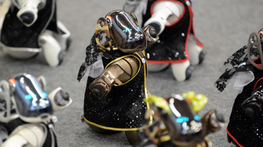 Aibo