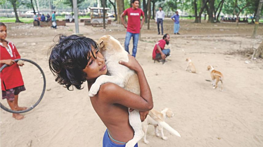 Animal welfare