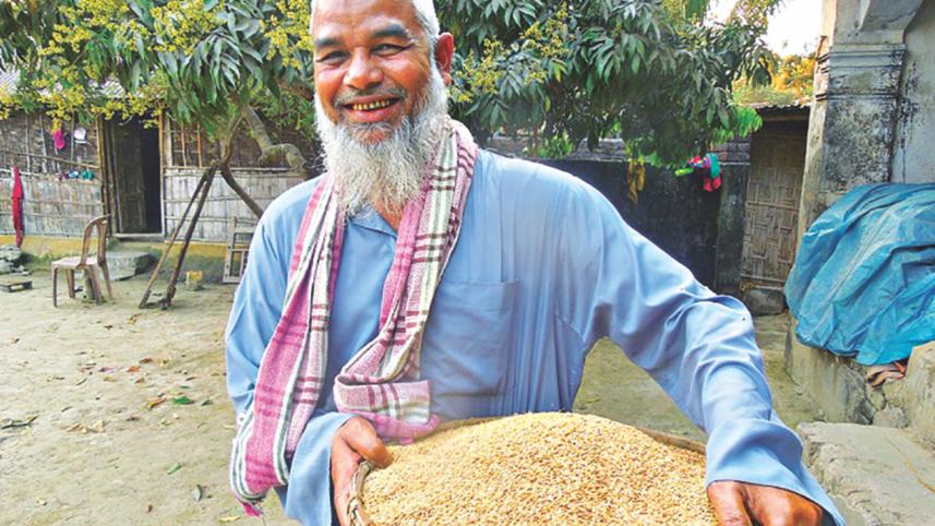 Aromatic rice