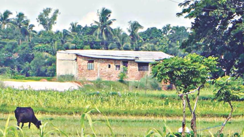 ashulia.jpg