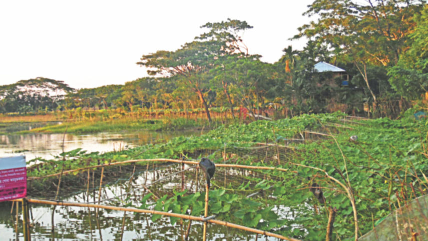 Bangladesh.jpg