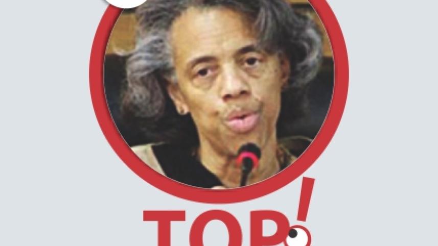 barnicat.jpg
