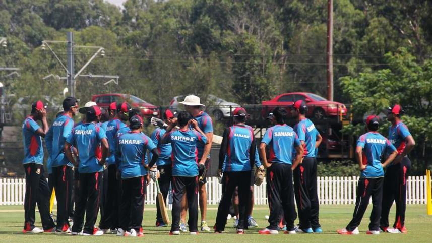Tigers in training