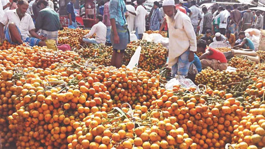 betel nut.jpg