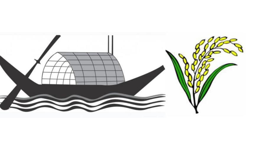 boat and paddy.jpg