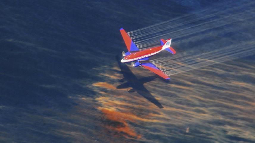 BP-Gulf oill spill