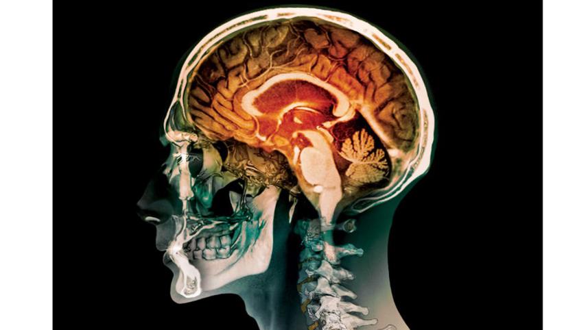 Brain-Science-1WB.jpg