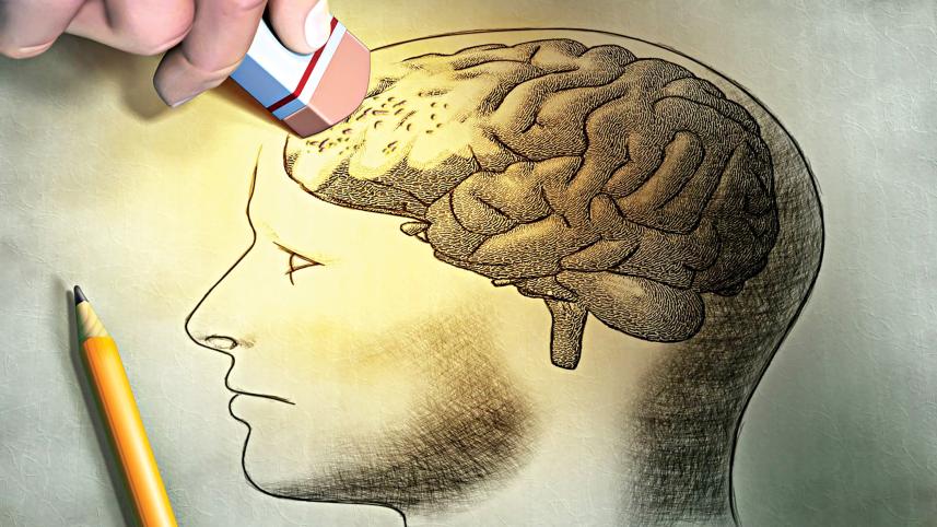 brain.jpg