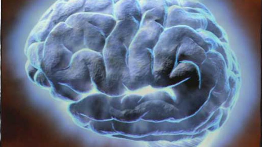 brain 1 new.jpg