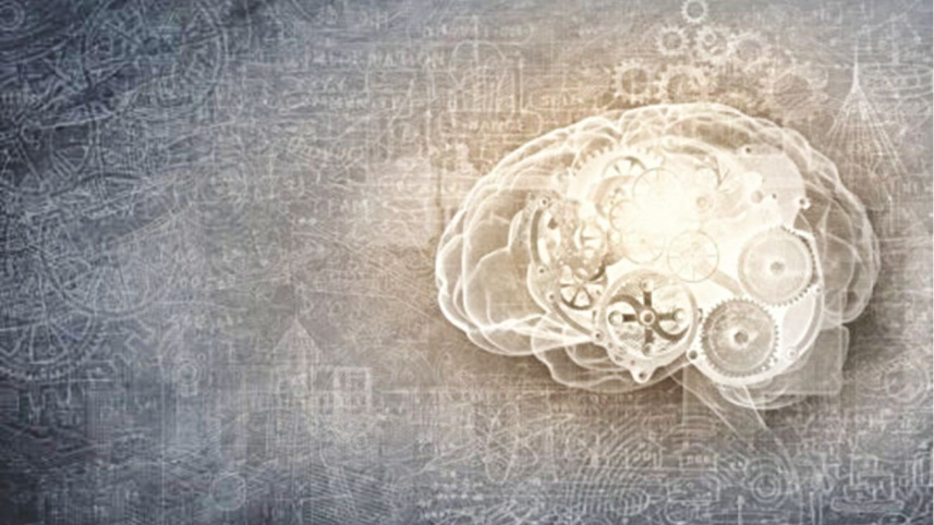 Brain Functions