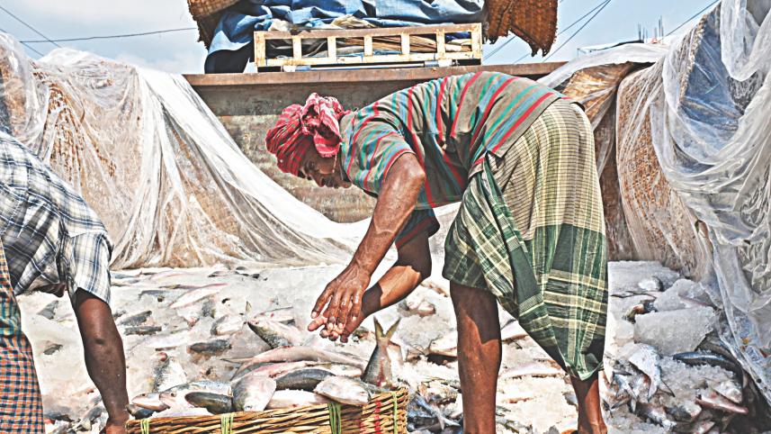 Brood-hilsas flood Barishal 1.jpg