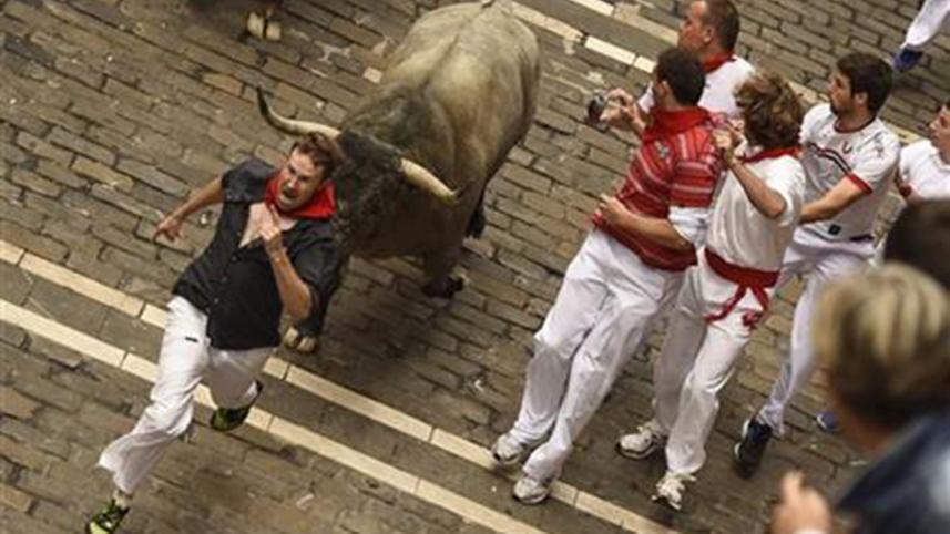 bull-spain-2-WEB.jpg