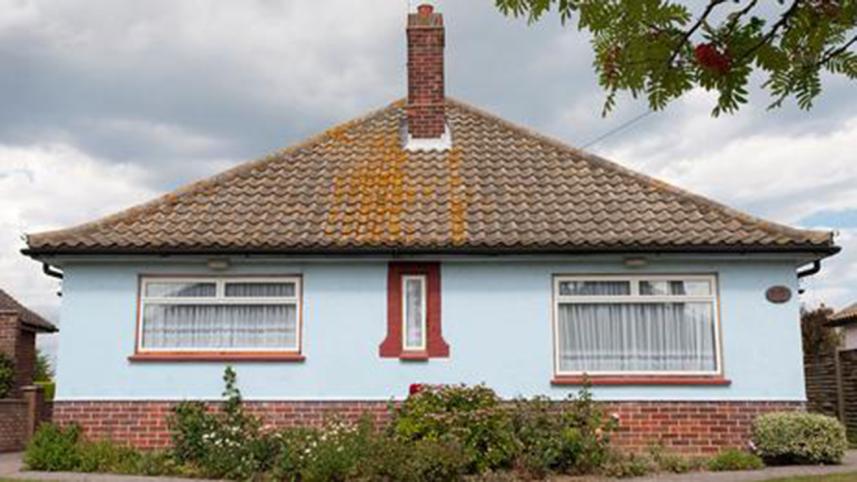 Bungalow--WEB.jpg