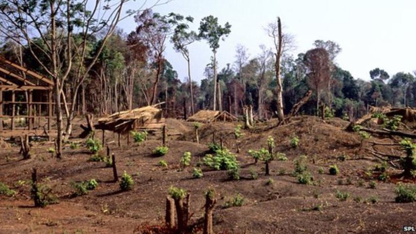 Cambodia--1WB.jpg