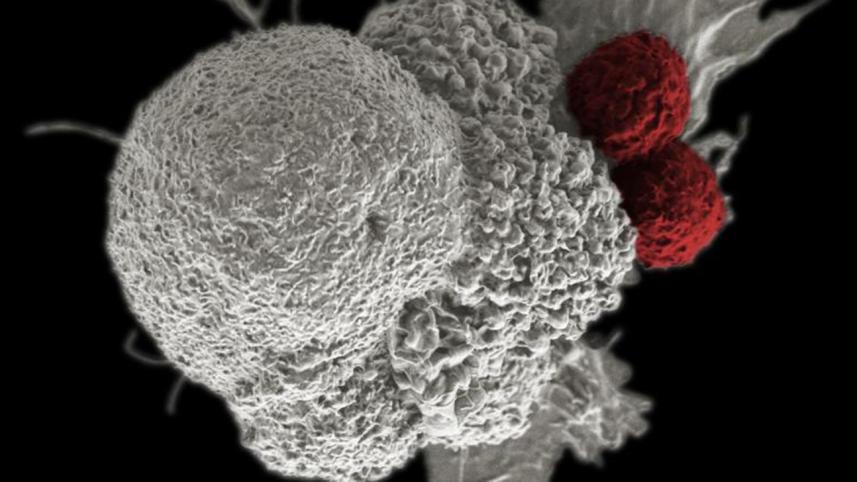 Source tax on cancer drug ingredients cut
