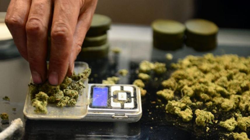 cannabis.jpg